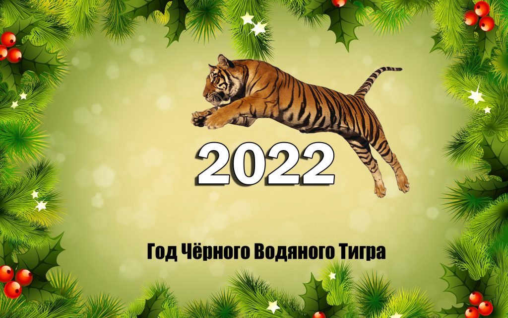 С новым 2022!